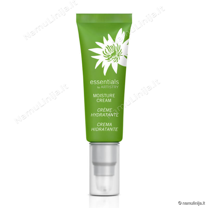 Drėkinamasis kremas Essentials by ARTISTRY (121693) Drėkinamasis kremas Essentials by ARTISTRY (121693)